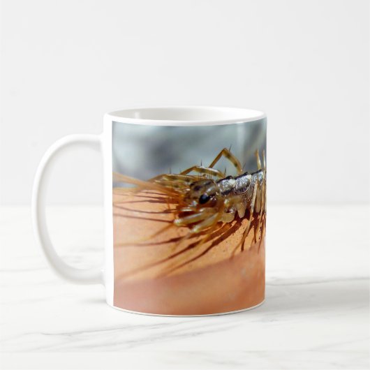 Scutigera Coleoptrata Bug Mug (Gauche)