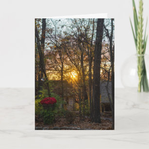 SDC Bossen Sunset Kaart
