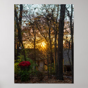 SDC Bossen Sunset Poster