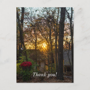 Sdc Woods Zonsondergang Briefkaart