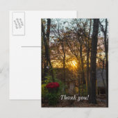 Sdc Woods Zonsondergang Briefkaart (Voorkant / Achterkant)