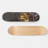 SDC Woody Sunset Skateboard (Horizontaal)