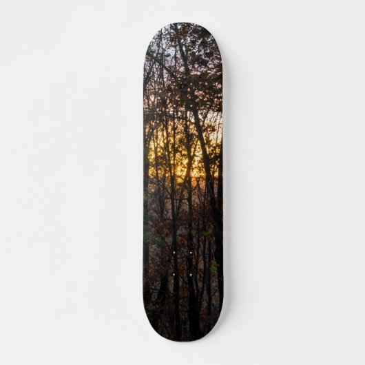 SDC Woody Sunset Skateboard (Voorkant)