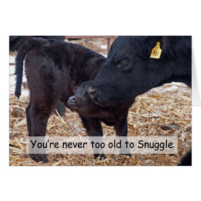 Se blottir des vaches (Devant horizontal)