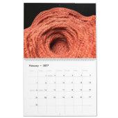 Se fermer, membres NBO Calendrier #1 (Feb 2027)