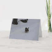 Se précipitant la carte déterminée de chiot (Devant)