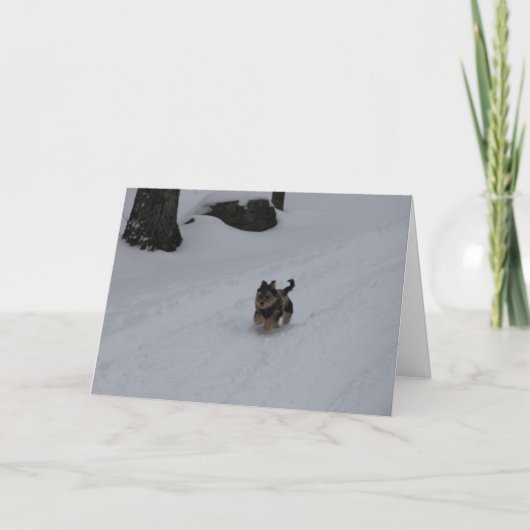 Se précipitant la carte déterminée de chiot (Devant)