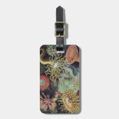 Sea Anemone Scientific Nature Ocean Bagagelabel (Voorkant verticaal)
