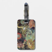 Sea Anemone Scientific Nature Ocean Bagagelabel (Achterkant verticaal)