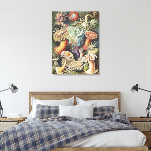 Sea Anemone Scientific Nature Ocean Canvas Afdruk (Insitu (Slaapkamer))