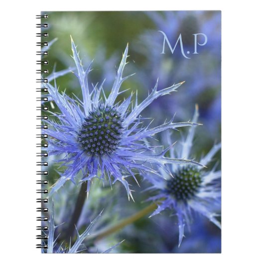 Sea Holly Thistle Monogram Notitieboek (Voorkant)