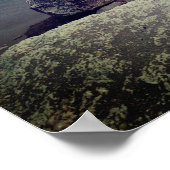 Sea Landscape, Poster photo (Coin)