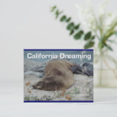 Sea Lion - California Dream - Carte postale (Debout devant)