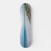 Sea Oats And White Sand Beach Morning Skateboard (Voorkant)