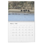 Sea Otter Channel Calendar #2 Kalender (Feb 2026)