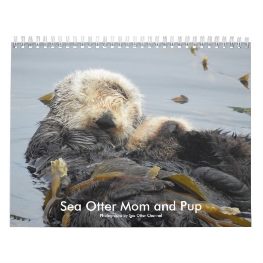 Sea Otter Mom and Pup Calendar #1 Kalender (Hoes)