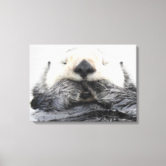 Sea Otter Sleeping Canvas Afdruk (Voorkant)