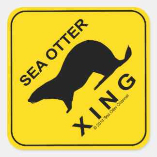 Sea Otter Xing Vierkante Sticker