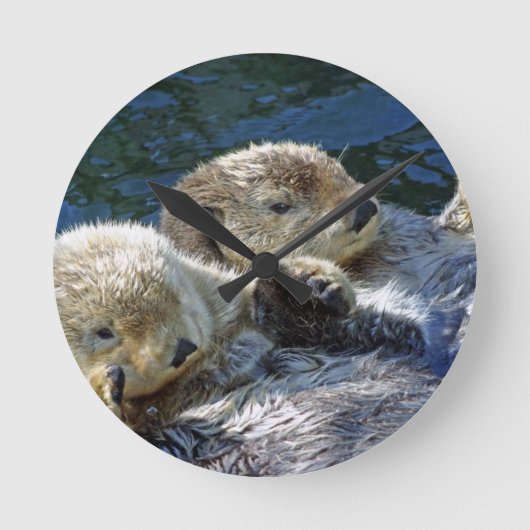 Sea-otters Ronde Klok (Voorkant)