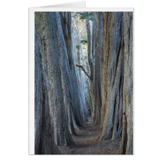 Sea Ranch, Californie