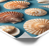 Sea Shell Wall Art Home Décor Room Poster (Coin)