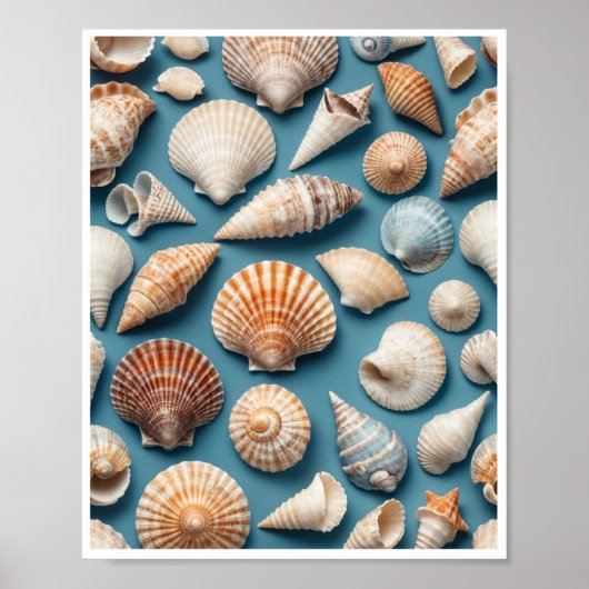 Sea Shell Wall Art Home Décor Room Poster (Devant)