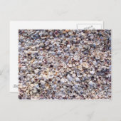 Sea Shells Sanibel Island Florida Briefkaart (Voorkant / Achterkant)
