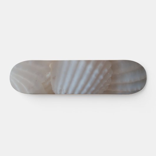 Sea Shells Summer Beach Exotic Tropical Skateboard (Horz)