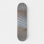 Sea Shells Summer Beach Exotic Tropical Skateboard (Devant)