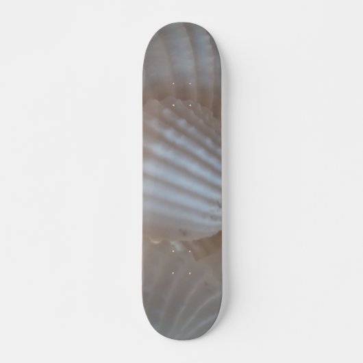 Sea Shells Summer Beach Exotic Tropical Skateboard (Devant)