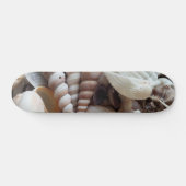 Sea Shells Summer Beach Exotic Tropical Skateboard (Horz)