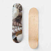 Sea Shells Summer Beach Exotic Tropical Skateboard (Recto)