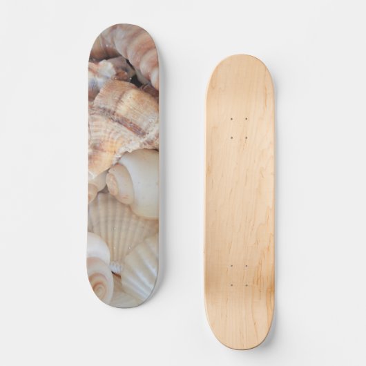 Sea Shells Summer Beach Exotic Tropical Skateboard (Recto)