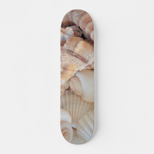 Sea Shells Summer Beach Exotic Tropical Skateboard (Devant)