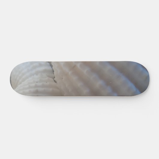 Sea Shells Summer Beach Exotic Tropical Skateboard (Horz)