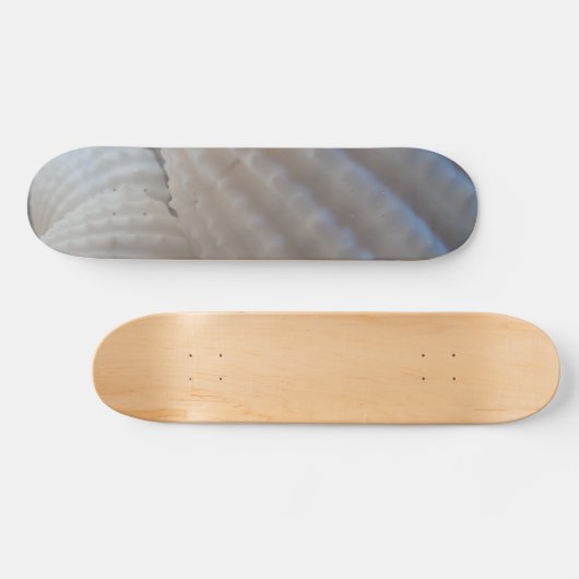 Sea Shells Summer Beach Exotic Tropical Skateboard (Horz)
