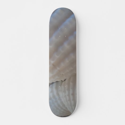 Sea Shells Summer Beach Exotic Tropical Skateboard (Devant)