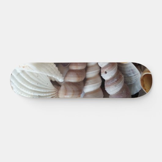 Sea Shells Summer Beach Exotic Tropical Skateboard (Horz)