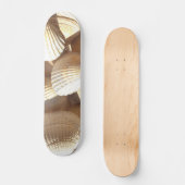 Sea Shells Summer Beach Exotic Tropical Skateboard (Recto)
