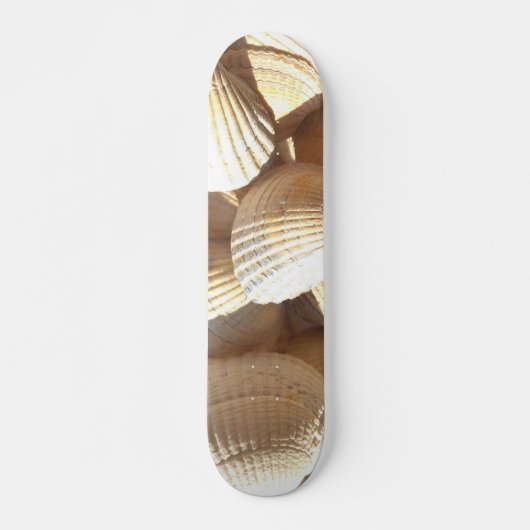 Sea Shells Summer Beach Exotic Tropical Skateboard (Devant)