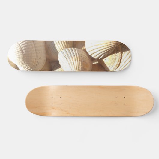 Sea Shells Summer Beach Exotic Tropical Skateboard (Horz)