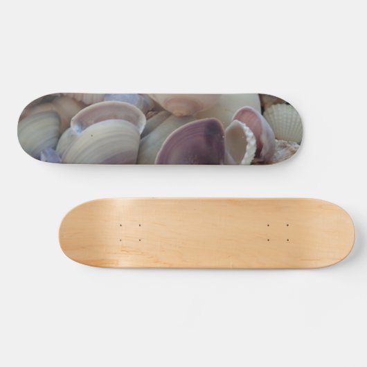 Sea Shells Summer Beach Exotic Tropical Skateboard (Horz)
