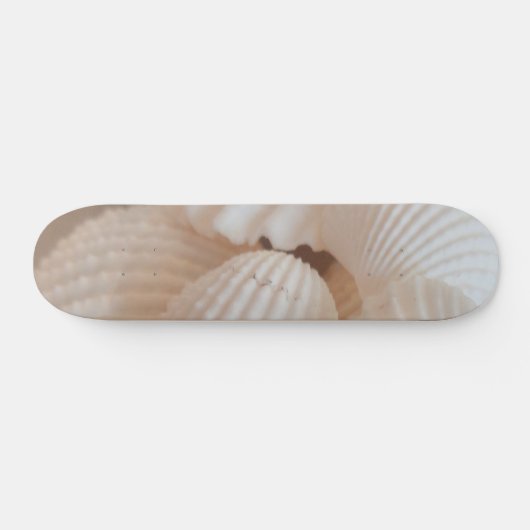 Sea Shells Summer Beach Exotic Tropical Skateboard (Horz)