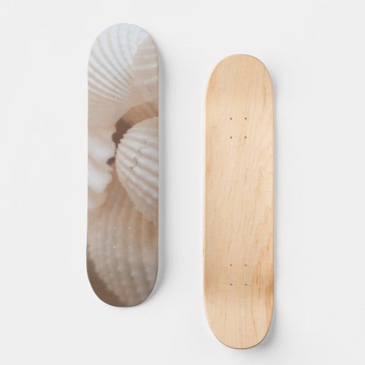 Sea Shells Summer Beach Exotic Tropical Skateboard (Recto)