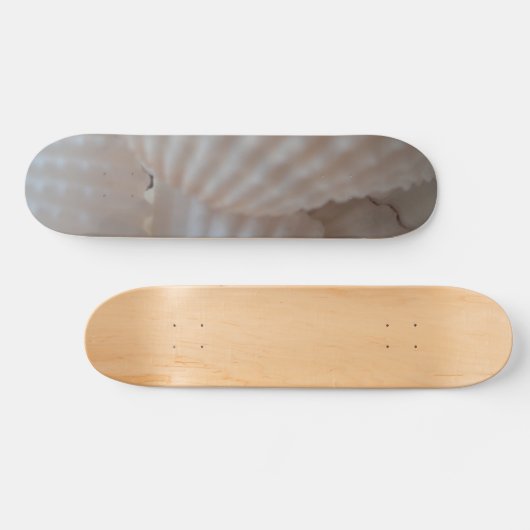 Sea Shells Summer Beach Exotic Tropical Skateboard (Horz)