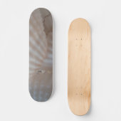 Sea Shells Summer Beach Exotic Tropical Skateboard (Recto)