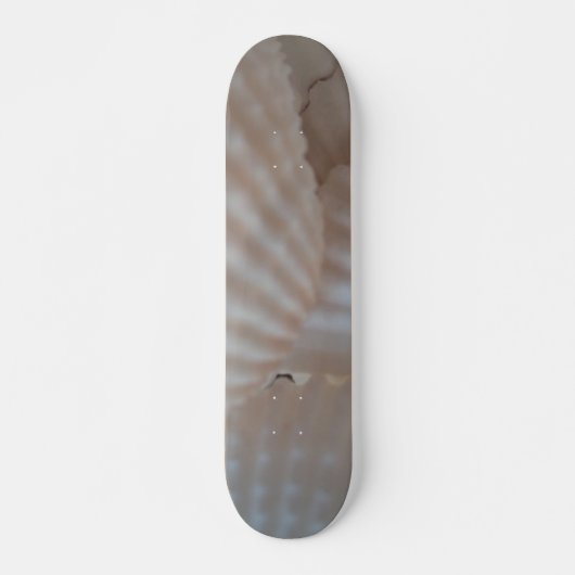 Sea Shells Summer Beach Exotic Tropical Skateboard (Devant)