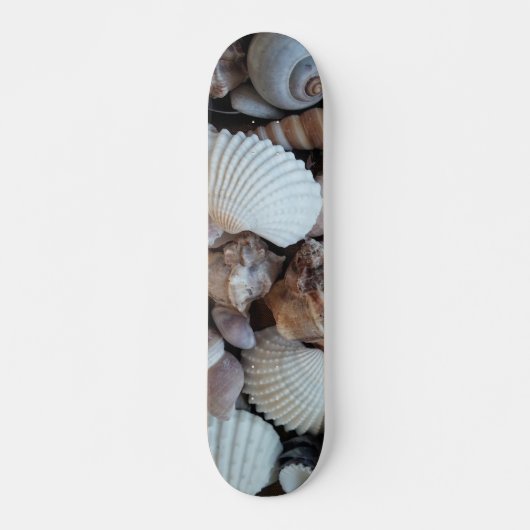 Sea Shells Summer Beach Exotic Tropical Skateboard (Devant)