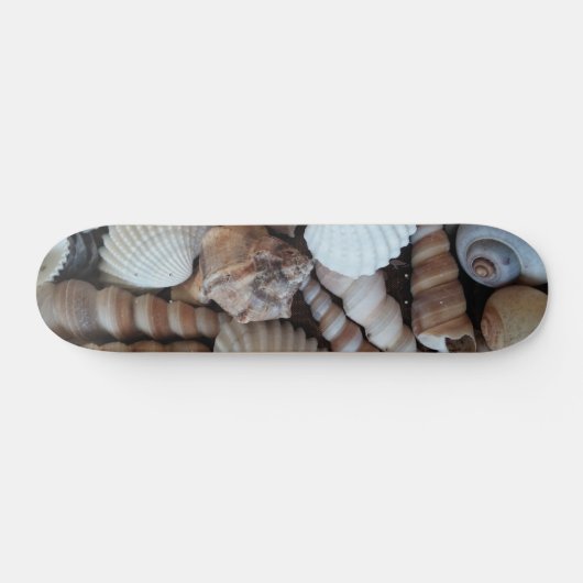 Sea Shells Summer Beach Exotic Tropical Skateboard (Horz)