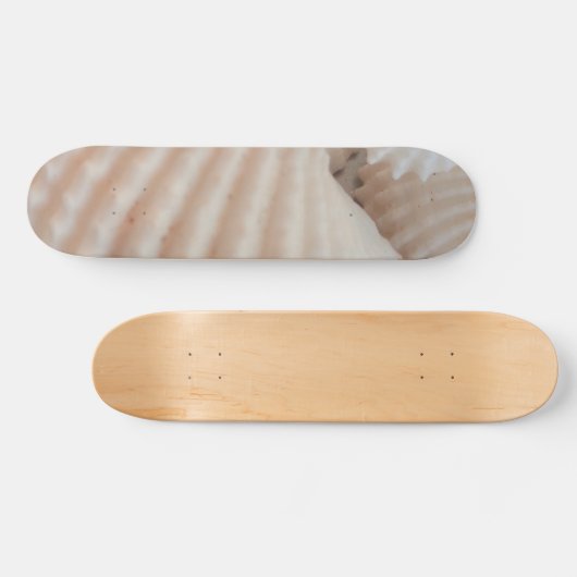 Sea Shells Summer Beach Exotic Tropical Skateboard (Horz)